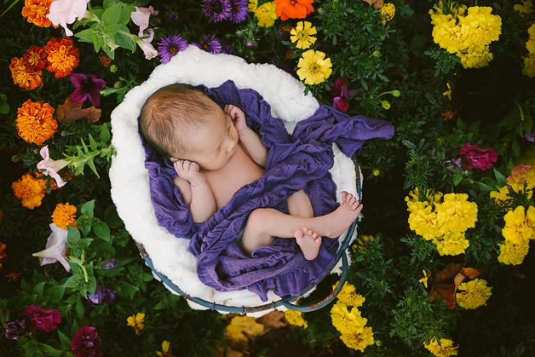 20150926-Ceeley s Newborn Photos 2015-Kayln-0023